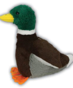 Mallard Duck with Beans